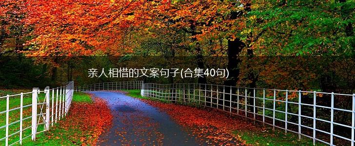 亲人相惜的文案句子(合集40句),第1张