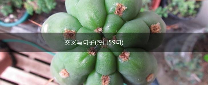 交叉写句子(热门59句),第1张