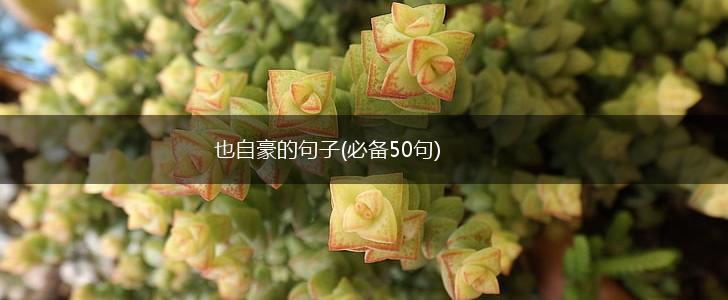也自豪的句子(必备50句),第1张