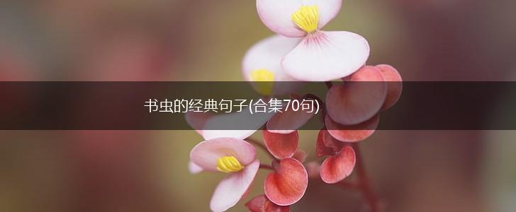 书虫的经典句子(合集70句),第1张