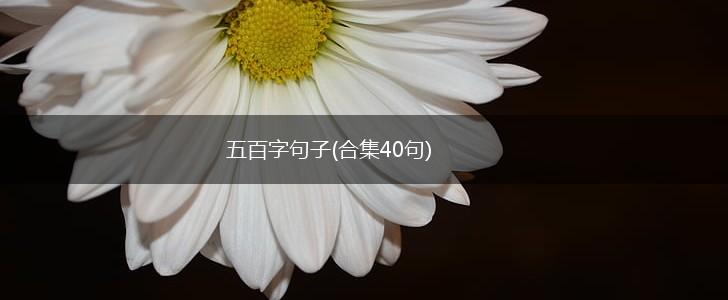 五百字句子(合集40句),第1张