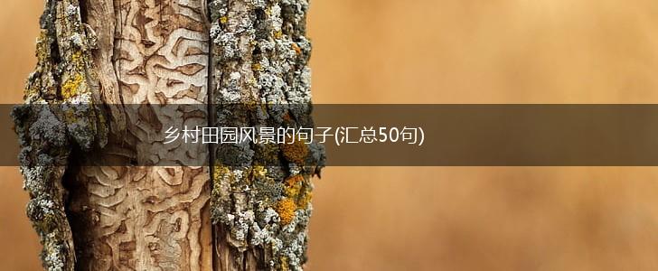 乡村田园风景的句子(汇总50句),第1张