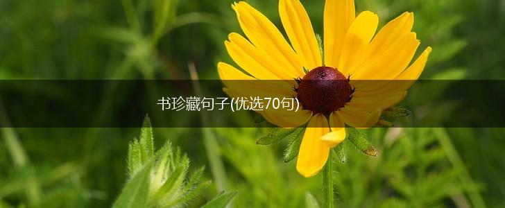 书珍藏句子(优选70句),第1张