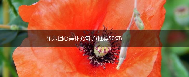 乐乐担心得补充句子(推荐50句),第1张