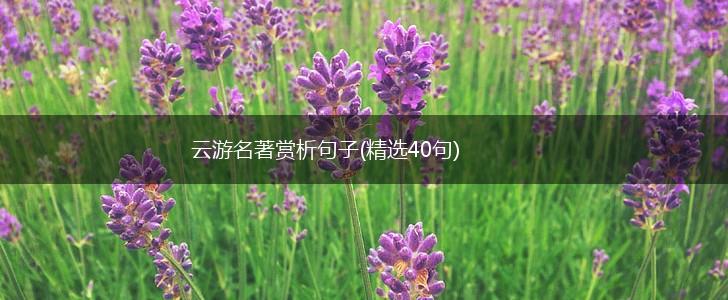 云游名著赏析句子(精选40句),第1张