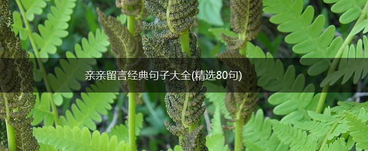 亲亲留言经典句子大全(精选80句),第1张