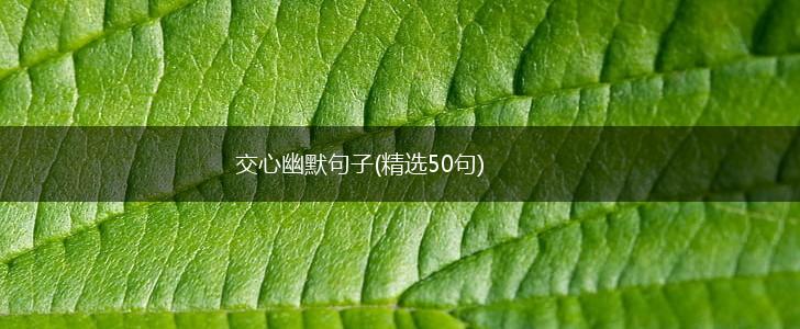 交心幽默句子(精选50句),第1张