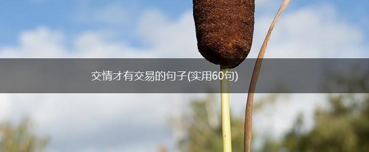 交情才有交易的句子(实用60句),第1张