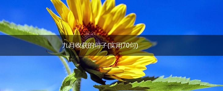 九月收获的句子(实用70句),第1张