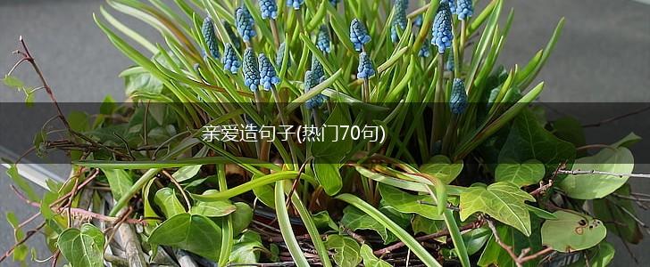 亲爱造句子(热门70句),第1张