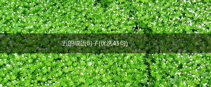 五的成语句子(优选45句),第1张