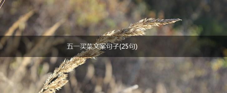 五一买菜文案句子(25句),第1张
