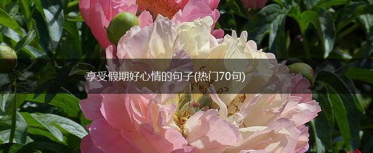 享受假期好心情的句子(热门70句),第1张