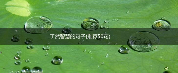了然智慧的句子(推荐50句),第1张