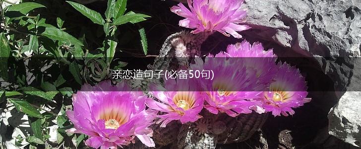 亲恋造句子(必备50句),第1张