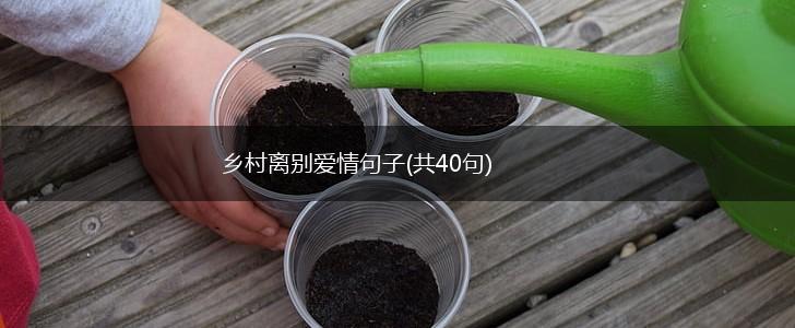 乡村离别爱情句子(共40句),第1张