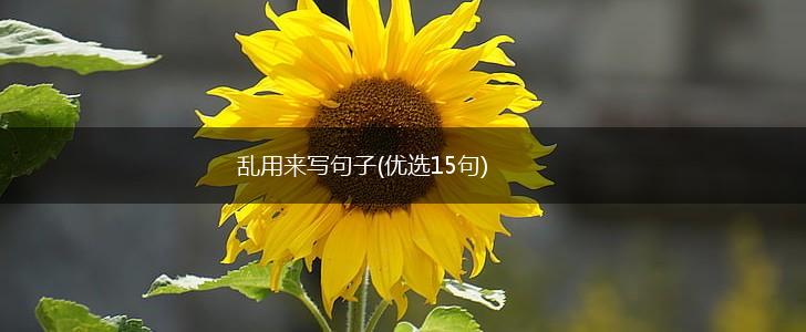 乱用来写句子(优选15句),第1张