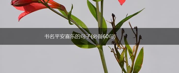 书名平安喜乐的句子(必备60句),第1张