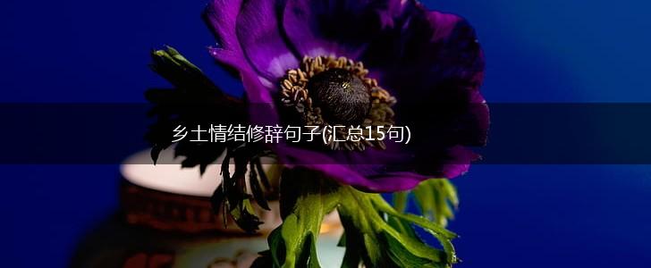 乡土情结修辞句子(汇总15句),第1张