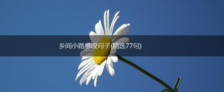 乡间小路感叹句子(精选77句),第1张