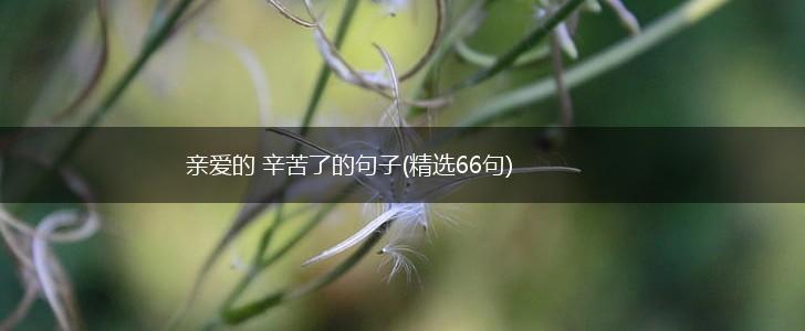 亲爱的 辛苦了的句子(精选66句),第1张