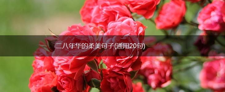 二八年华的柔美句子(通用20句),第1张