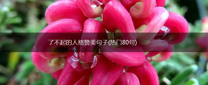 了不起的人格赞美句子(热门80句),第1张