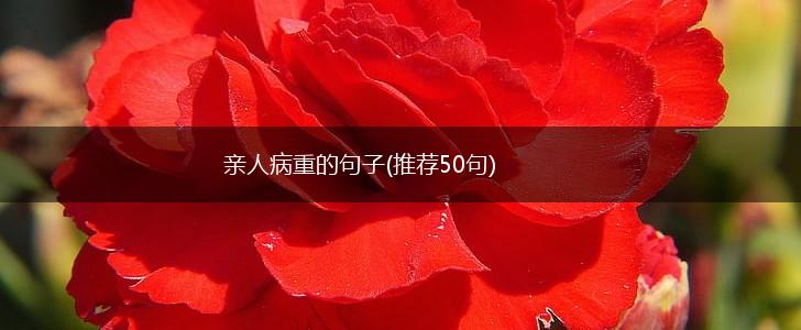 亲人病重的句子(推荐50句),第1张