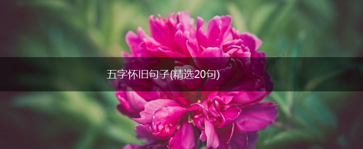 五字怀旧句子(精选20句),第1张
