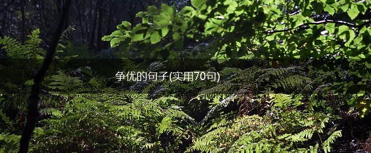争优的句子(实用70句),第1张