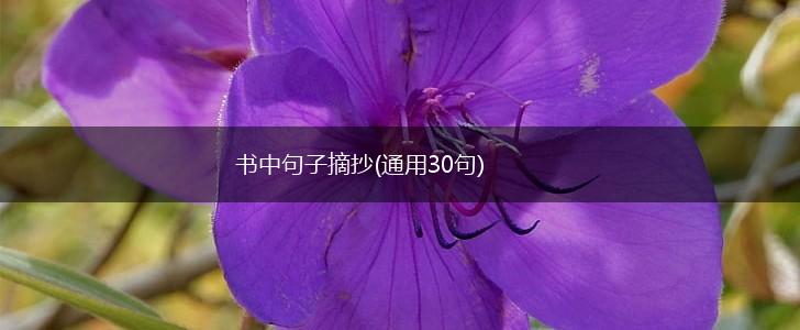 书中句子摘抄(通用30句),第1张