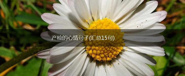 产检的心情句子(汇总15句),第1张