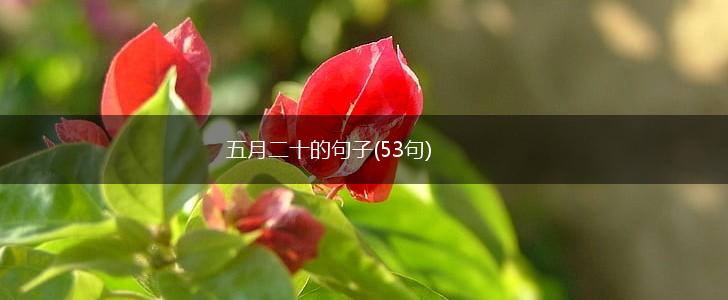 五月二十的句子(53句),第1张