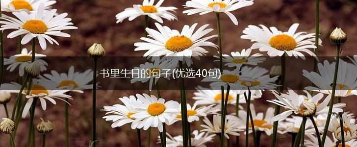 书里生日的句子(优选40句),第1张