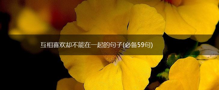 互相喜欢却不能在一起的句子(必备59句),第1张