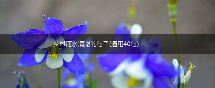 乡村河水清澈的句子(通用40句),第1张