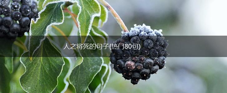 人之将死的句子(热门80句),第1张
