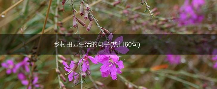 乡村田园生活的句子(热门60句),第1张