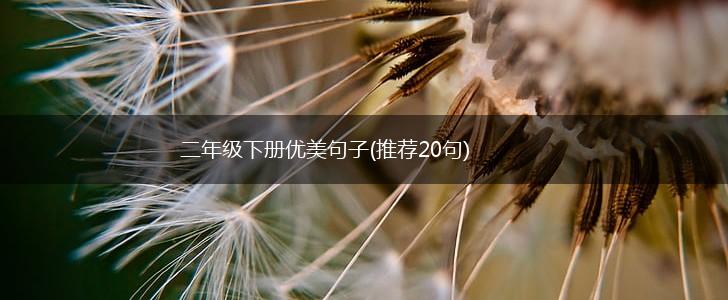 二年级下册优美句子(推荐20句),第1张