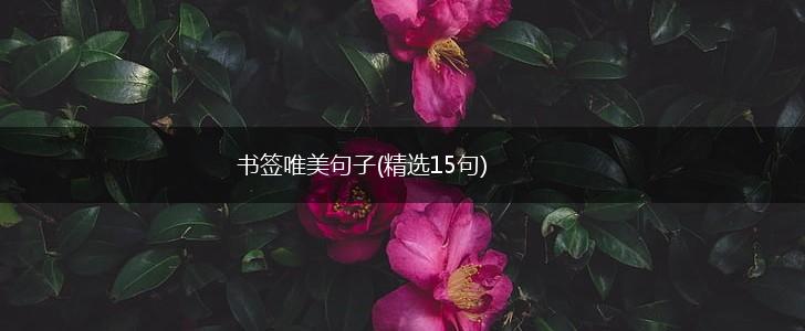 书签唯美句子(精选15句),第1张