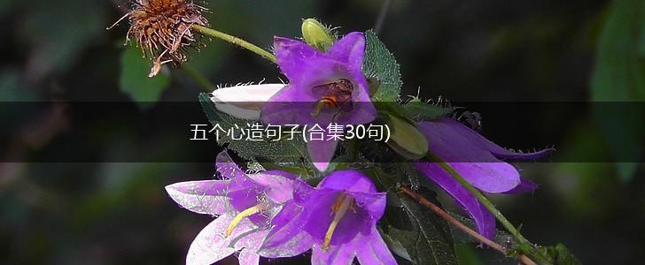 五个心造句子(合集30句),第1张