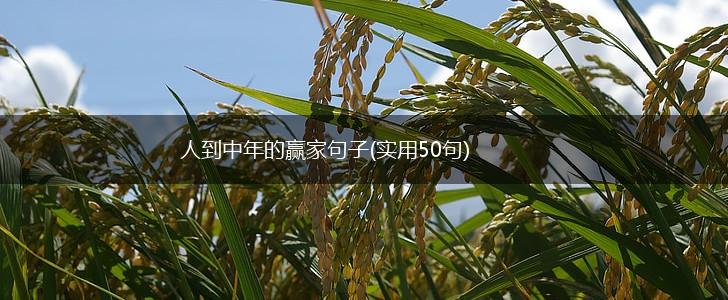 人到中年的赢家句子(实用50句),第1张