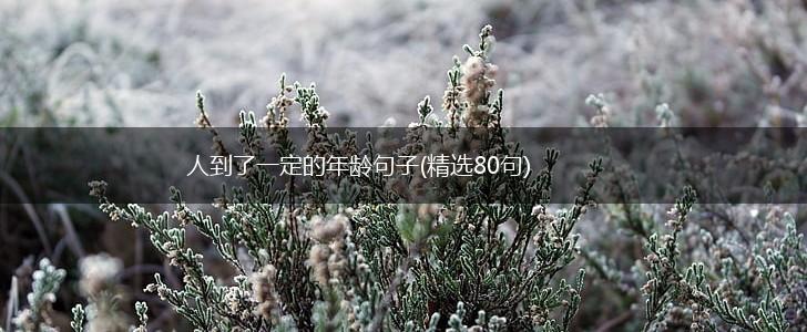 人到了一定的年龄句子(精选80句),第1张