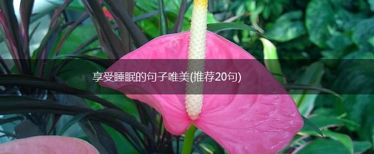 享受睡眠的句子唯美(推荐20句),第1张