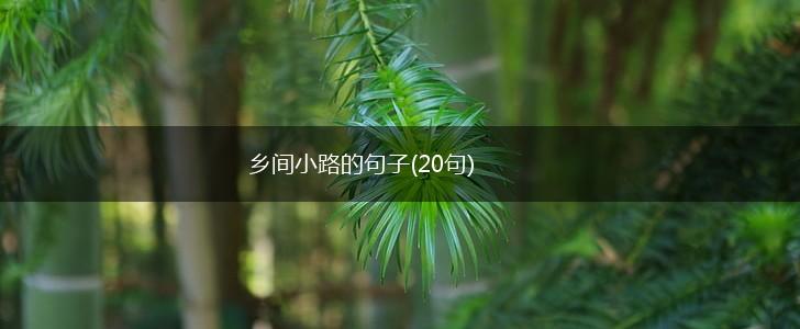 乡间小路的句子(20句),第1张