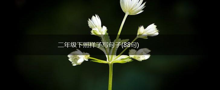 二年级下照样子写句子(88句),第1张