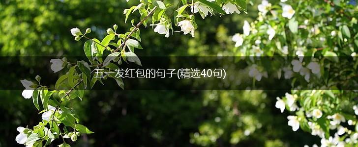 五一发红包的句子(精选40句),第1张