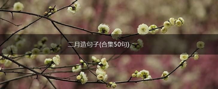 二月造句子(合集50句),第1张