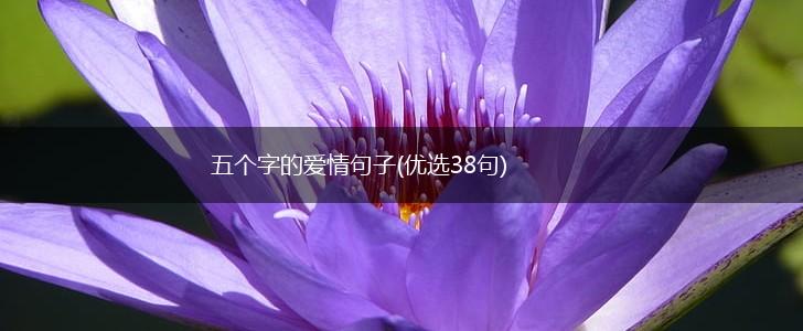 五个字的爱情句子(优选38句),第1张