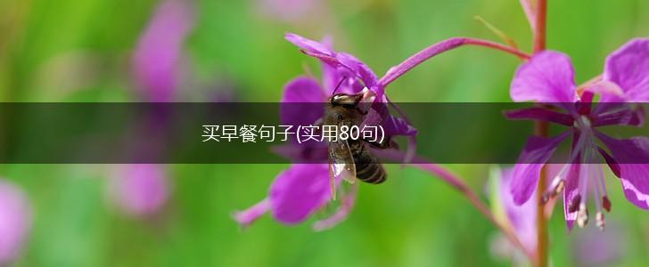 买早餐句子(实用80句),第1张